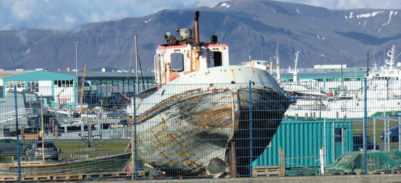 The Old Harbour Apartment Reykjavik